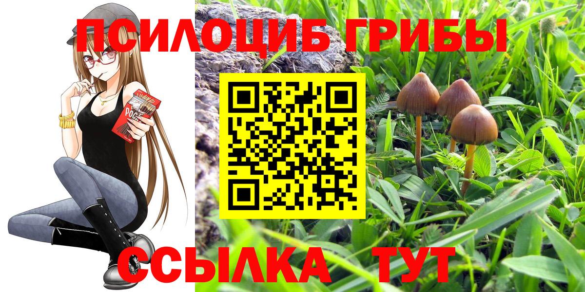 Галлюциногенные грибы Psilocybe  Вход с VPN  Галлюциногенные грибы Cubensis  Северобайкальск 